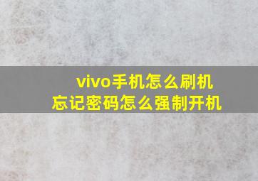 vivo手机怎么刷机 忘记密码怎么强制开机